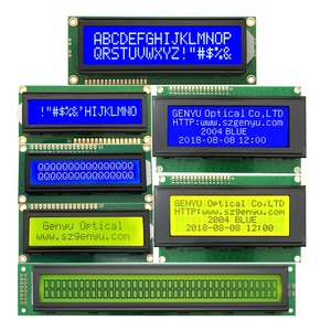 OEM China LCD Hersteller Custom Monochrome 7 Segment Lcd Dot Matrix COB Display Modul platine