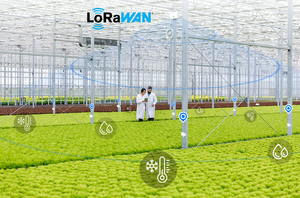 Manufacturer Ultra-long-range Lora <strong>Sensor</strong> <strong>Wireless</strong> Data Transmission LoraWan Protocol - Product Image 4