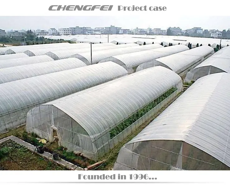 Película de plástico agrícola de un solo palmo comercial automatizado Túnel Invernadero agricultura para la venta