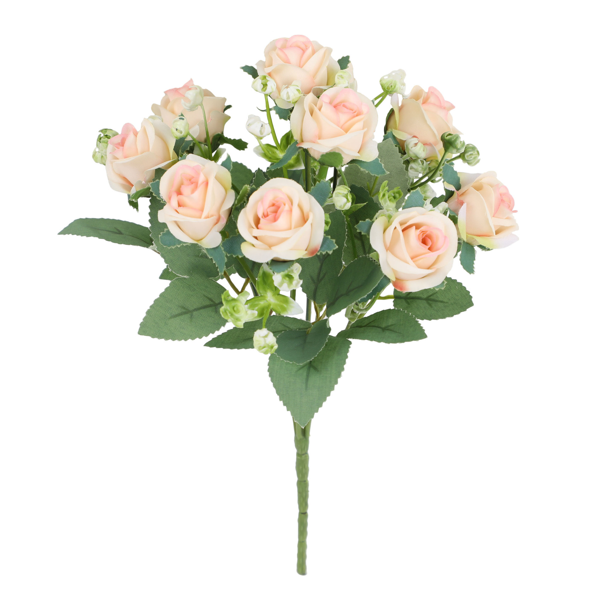แชมเปญ AHF629-330-5