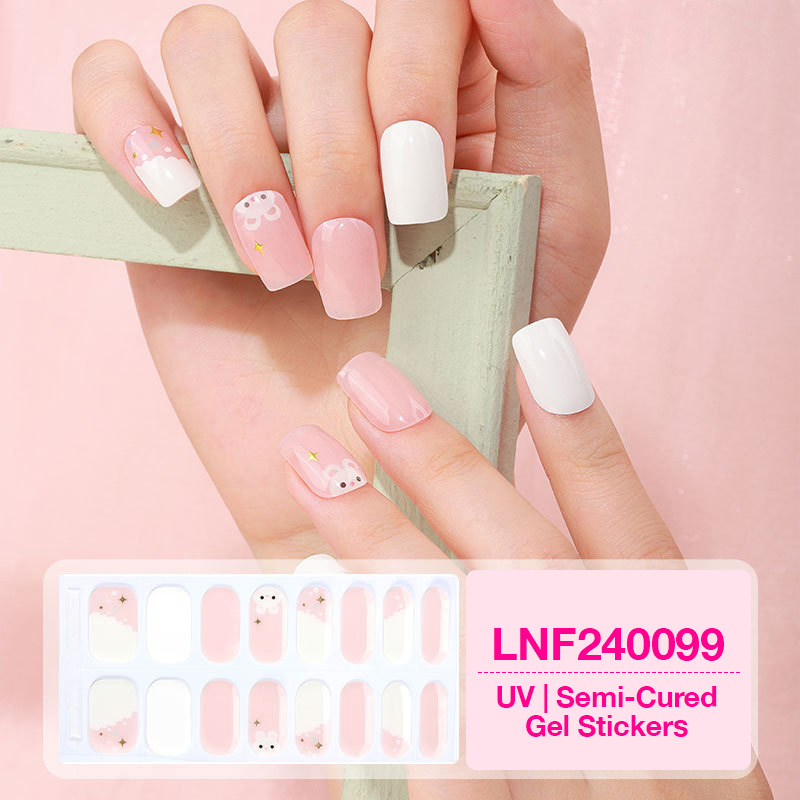 LNF240099