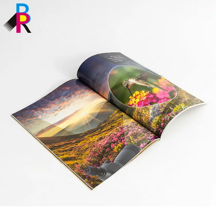 Wholesale Low Price Customized Printing Softcover Book Paperback Book Printing