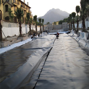 0.75mm Polyethylene Liner Plastic Sheet <strong>Hdpe</strong> Ldpe Lldpe Geomembrane <strong>30</strong> <strong>Mils</strong> Biogas Price - Product Image 2