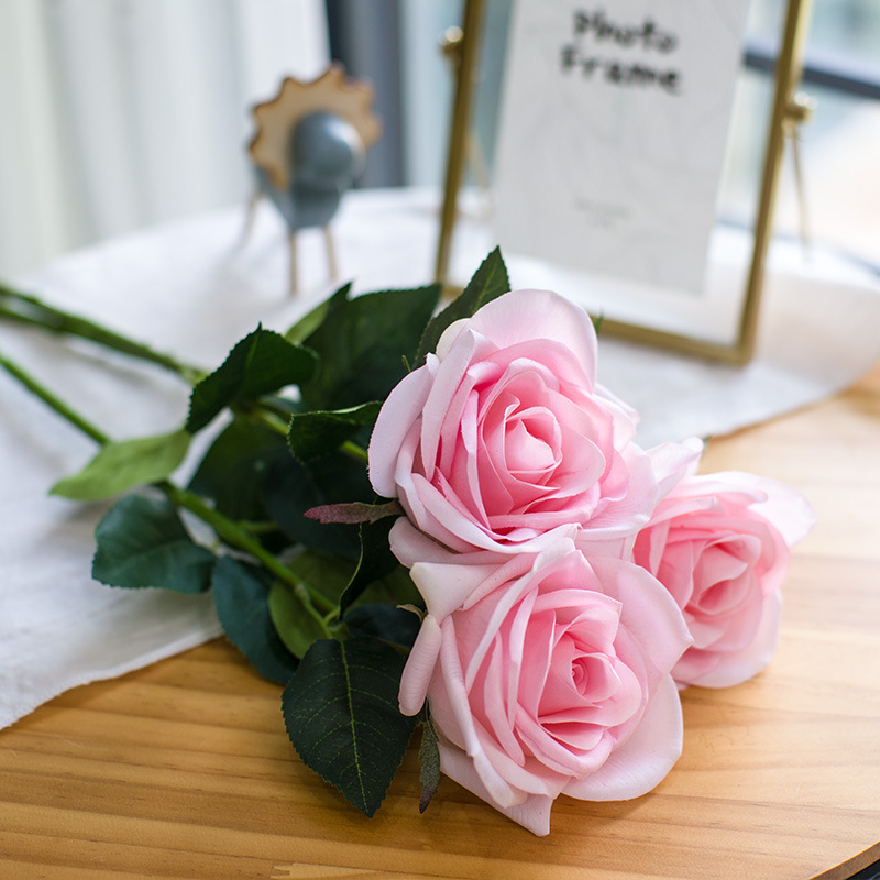 Rose rose 3