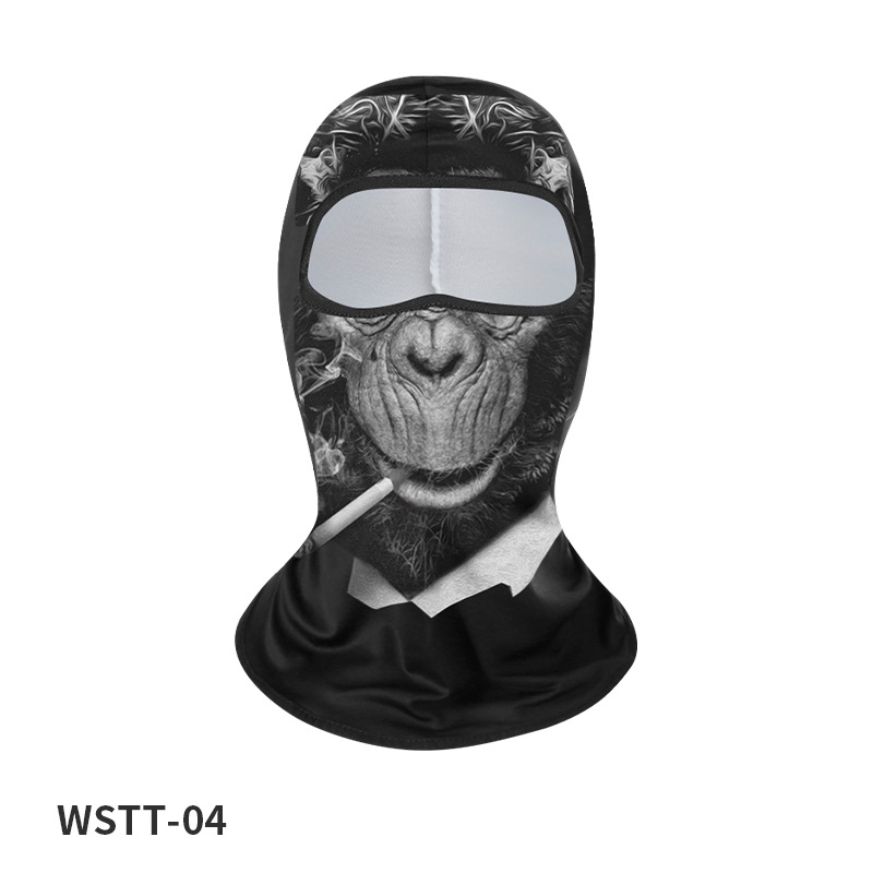 WSTT-04