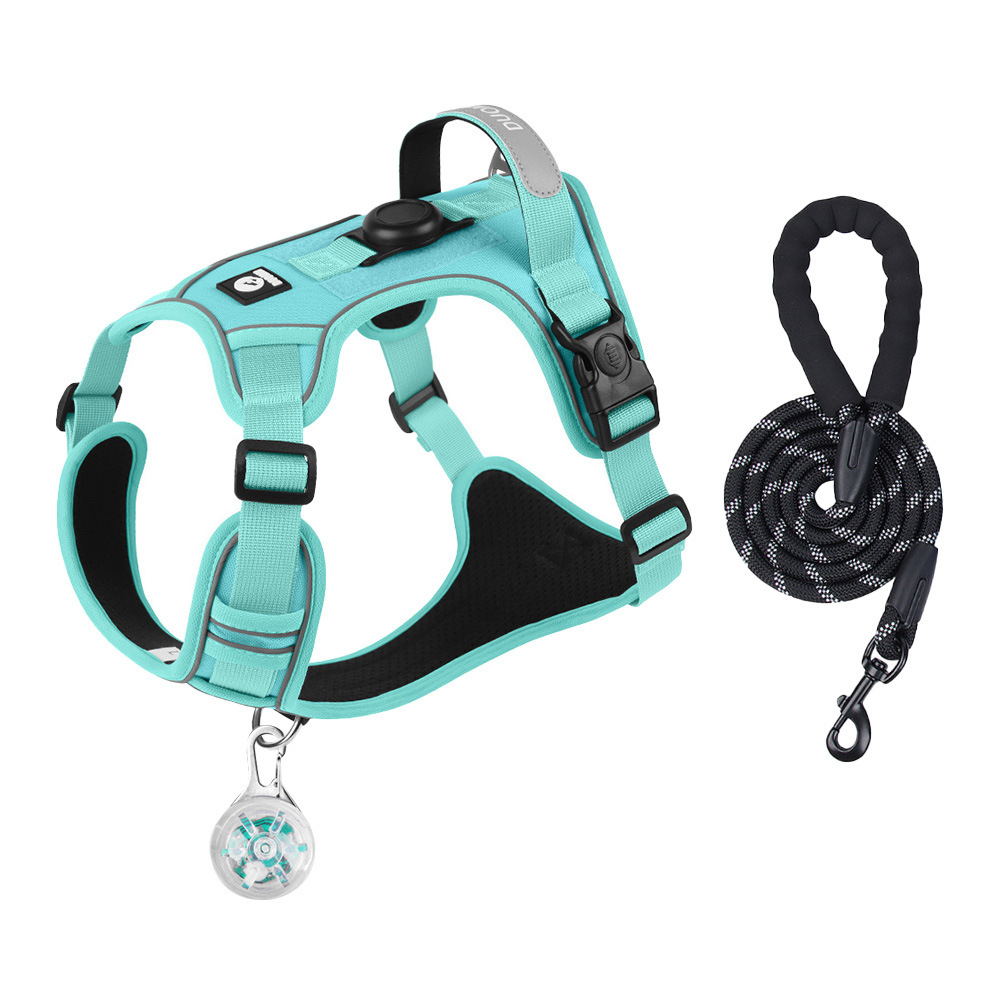 Colgante de luz led de cuerda redonda verde-negro turquesa-15m