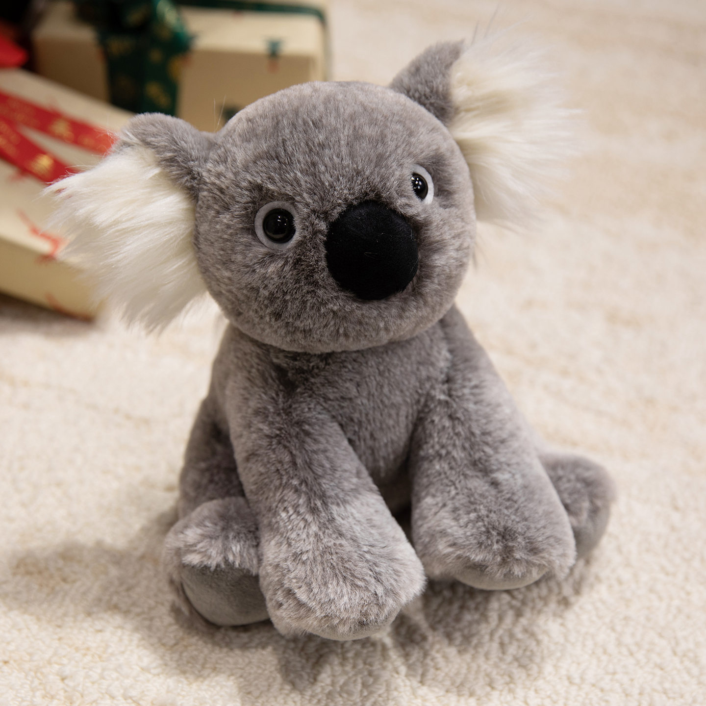 koala