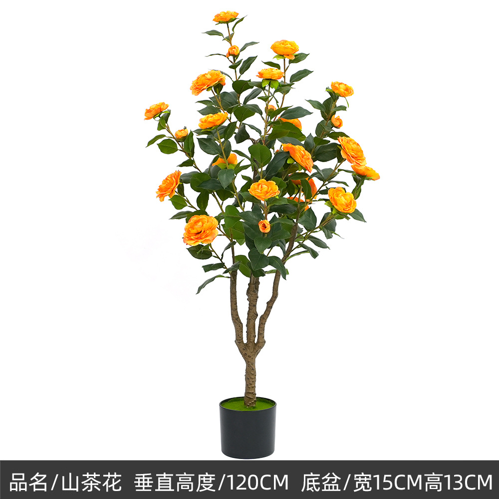 120cm camélia, b-orange