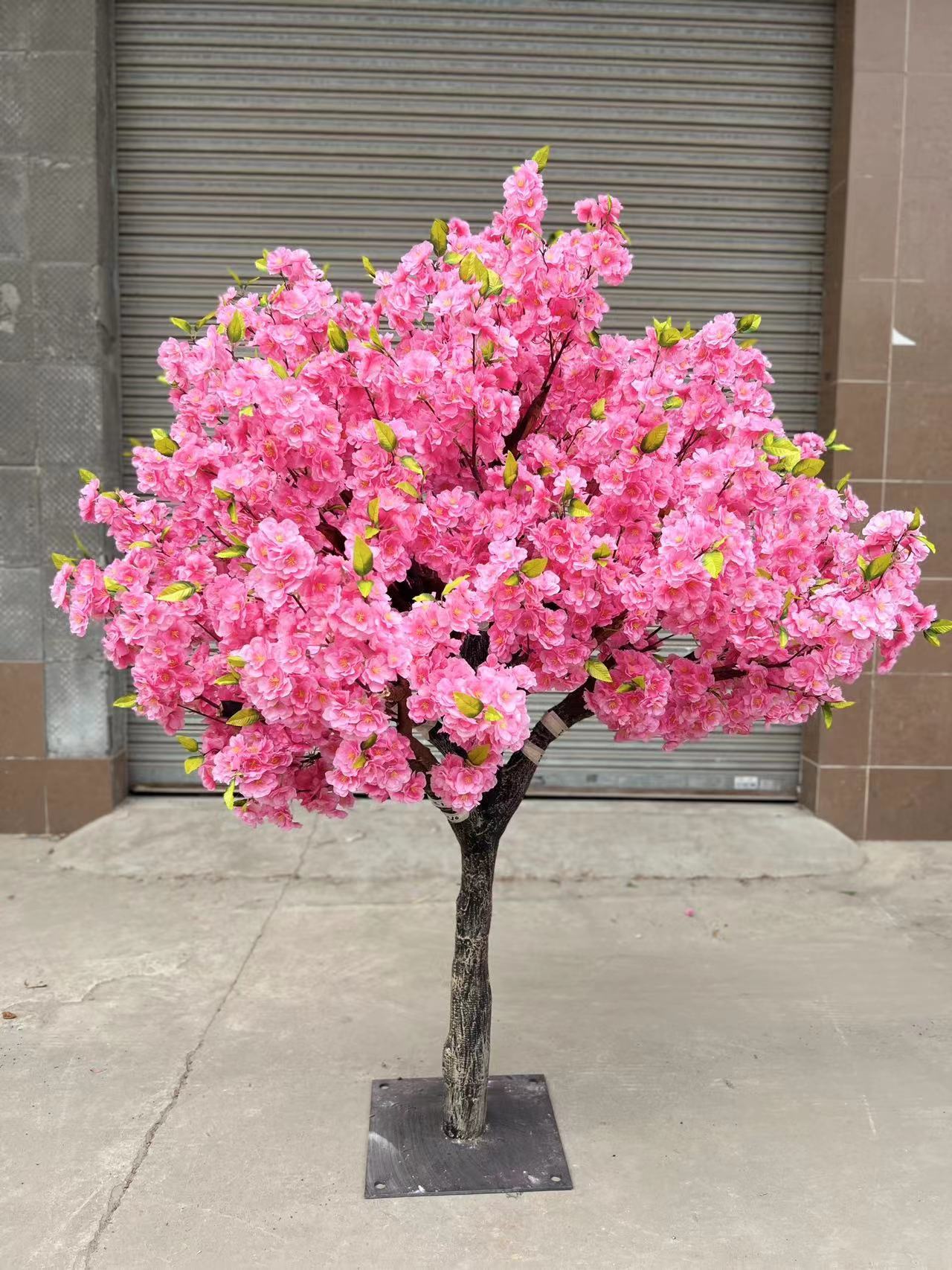 1.pink 1.5m cherry tree