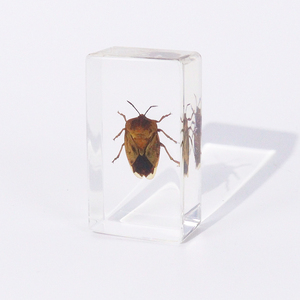 Пресс-папье Lychee Stinkbug, образец смолы, Обучающие инструменты, образцы насекомых для продажи - Product Image 3