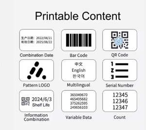 Stampante automatica stampante industriale dati di scadenza Logo Data di scadenza QR Bar Coder stampante numero di lotto più venduto - Product Image 6
