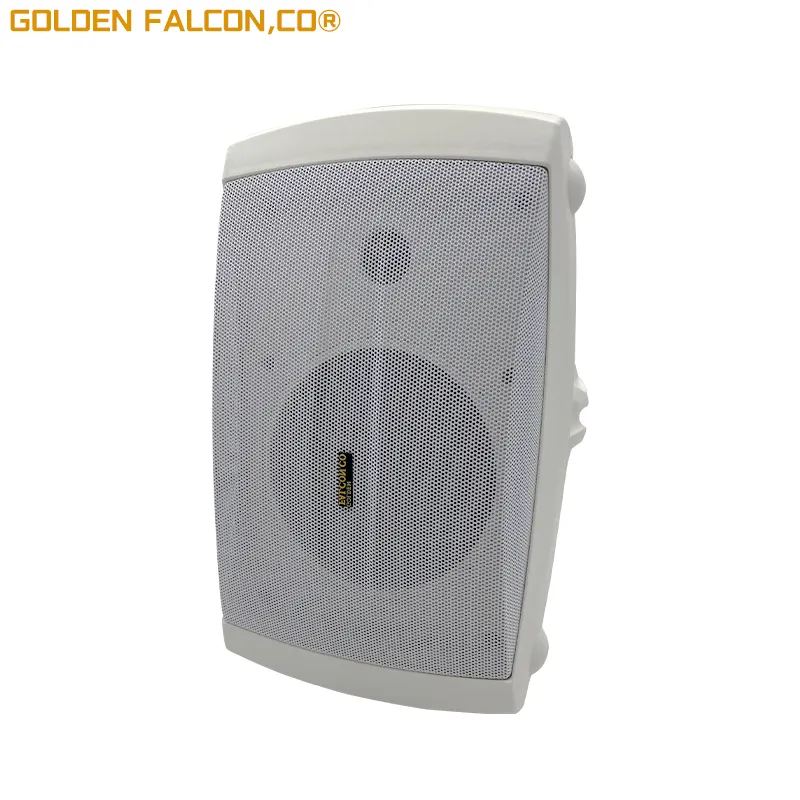 Fireproof wall speaker amp wall-mounted speaker Wall Mount Multiroom Classroom System Speaker For School Pa System