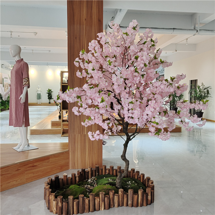Arbre de fleurs de cerisier 4