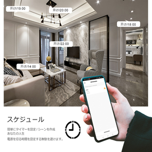 日本Wifiスマートプラグtuya ZigbeeTasmota for Espressif ESP8266ESP32チップセットファームウェアフラッシュカスタムTooyaBSD1810Aスマートソケット - Product Image 6