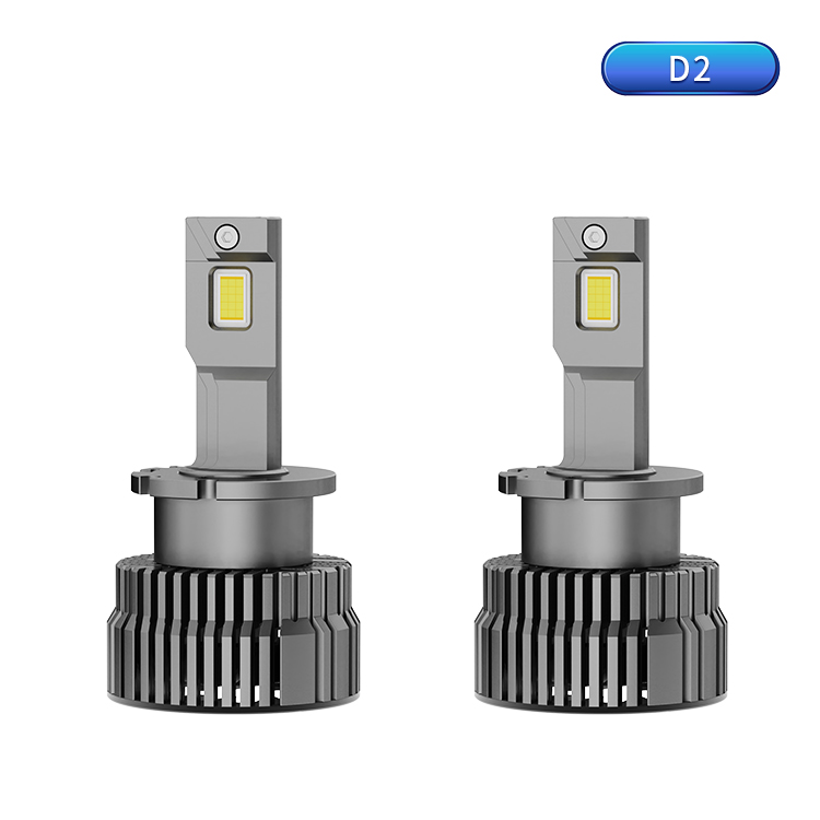 D2