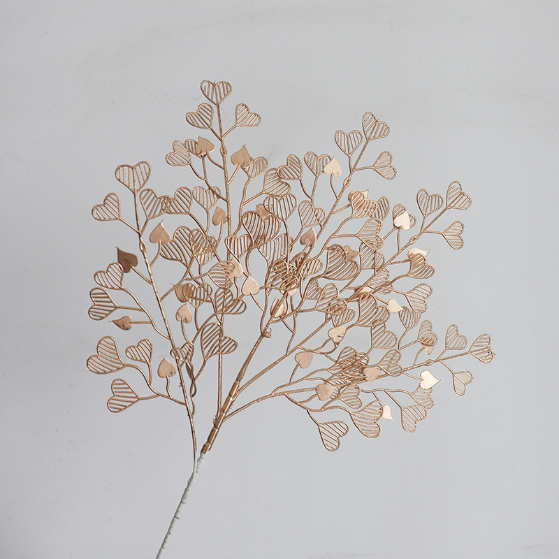 Une herbe en forme de coeur