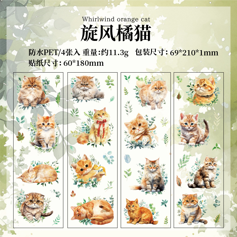 A Whirlwind Orange Cat