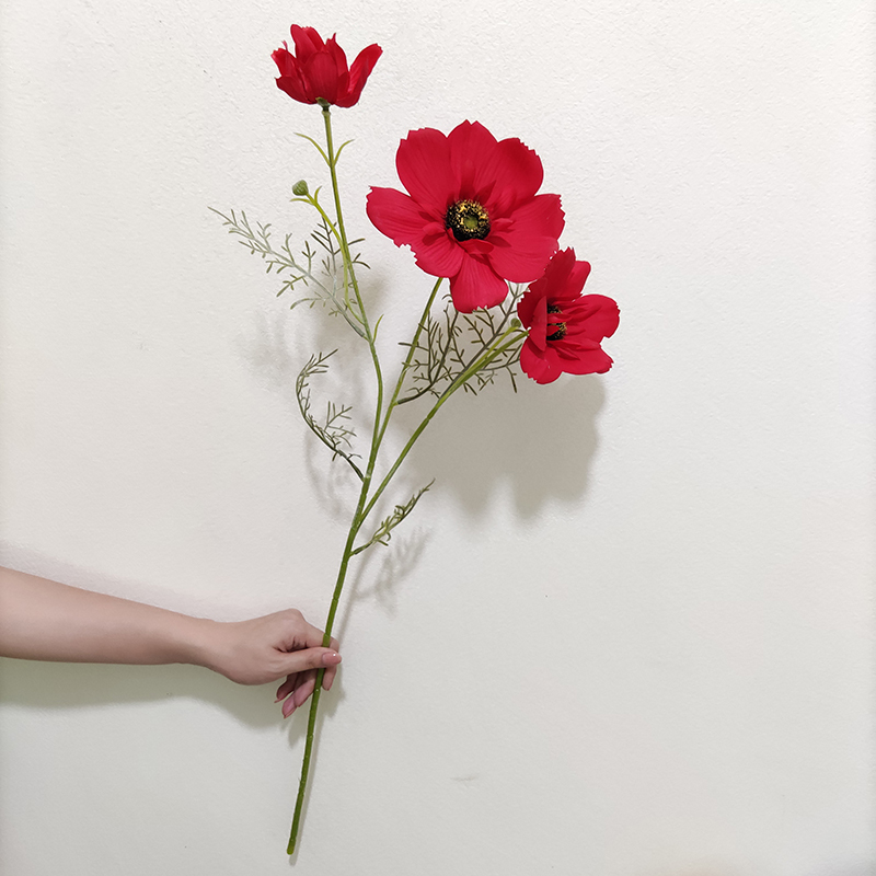 Rouge