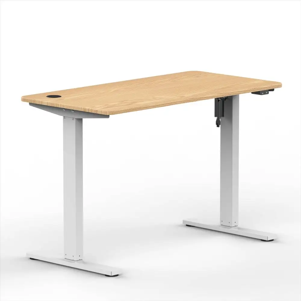 Struttura del tavolo regolabile elettricamente in altezza sistema di sollevamento del motore singolo tavolo di apprendimento ergonomico Sit Stand Desk