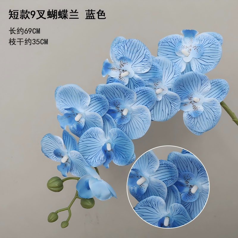Bleu