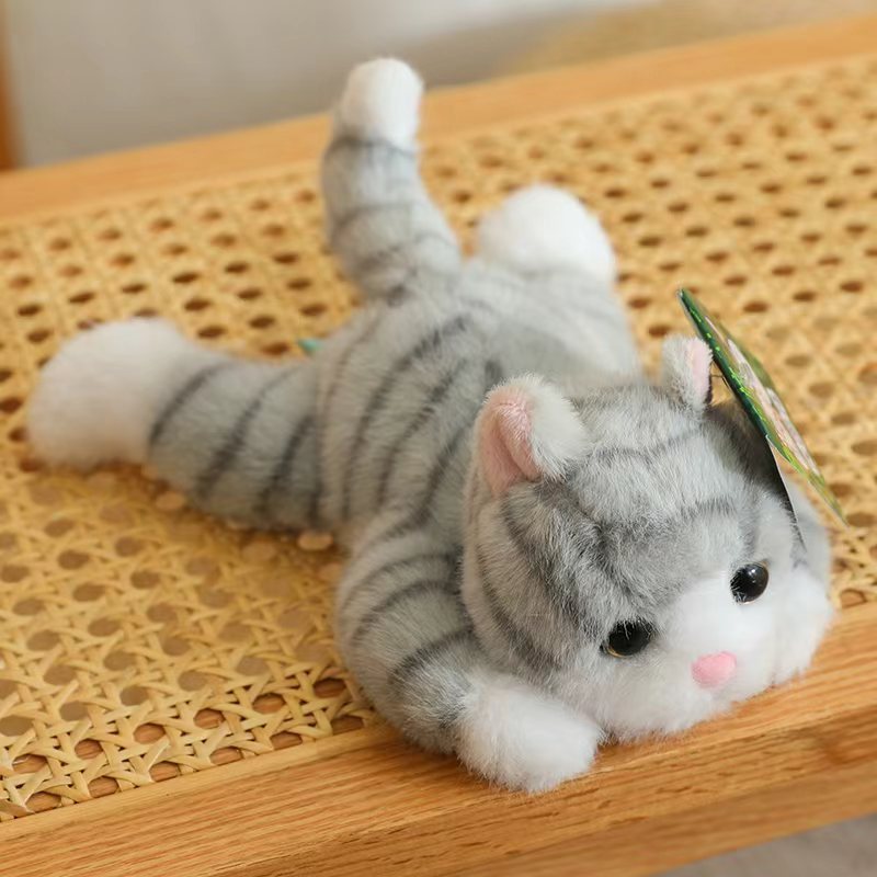 Chat gris
