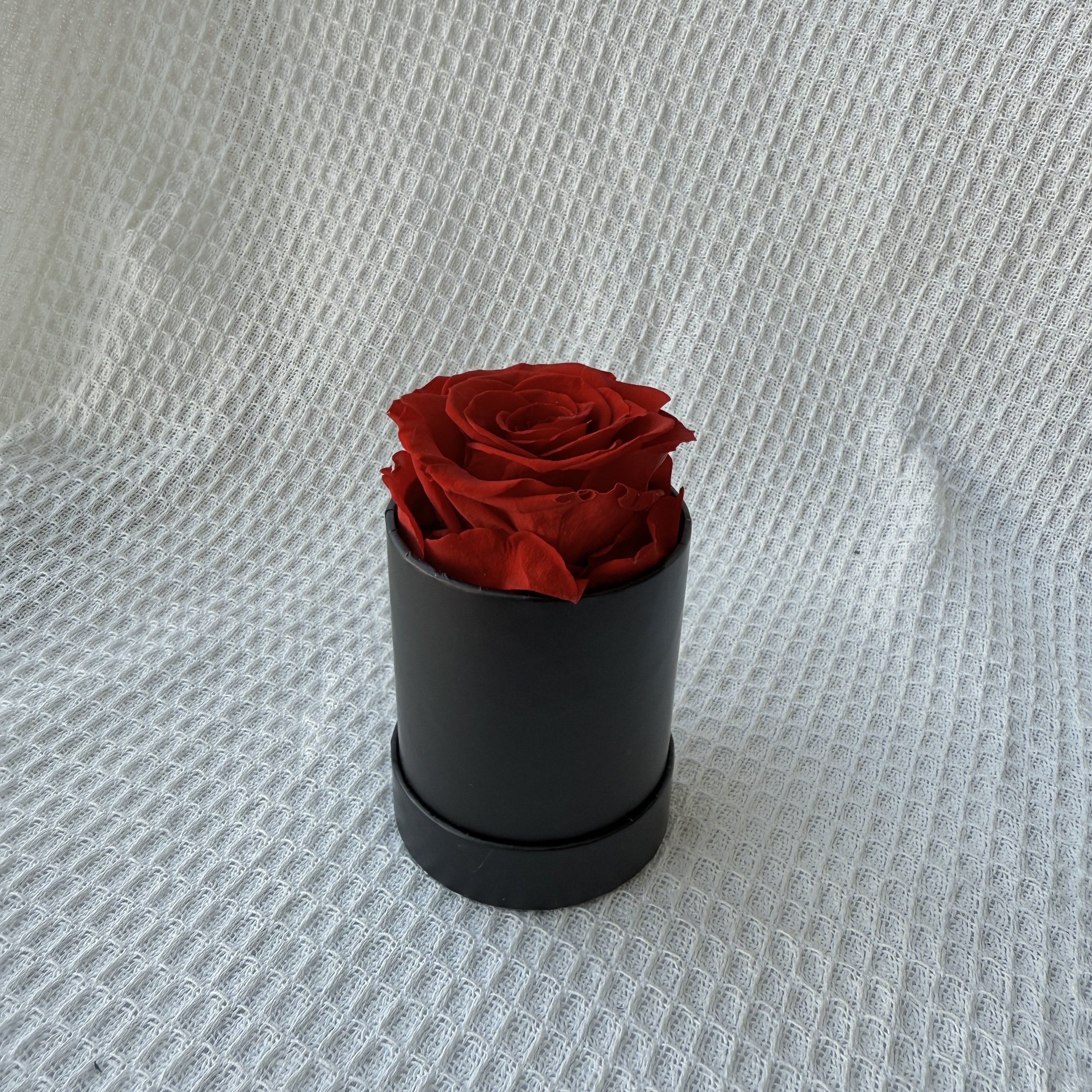 Rouge 1 rose