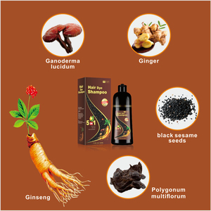500ml 5 in 1 Ginseng siyah şampuan krem organik bitkisel saç boyası renk kadınlar olmayan derisi hızlı hızlı etkili kalıcı Oem - Product Image 2