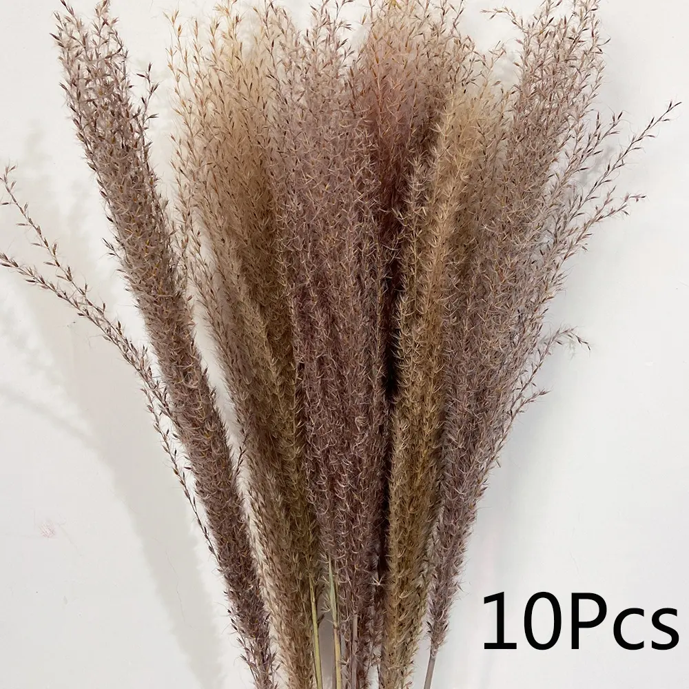 Small Pampas Grass Bouquet Decor Naturally Dried Flowers Dried Bouquet Of Flowers Mix Wholesale Dried Flowers