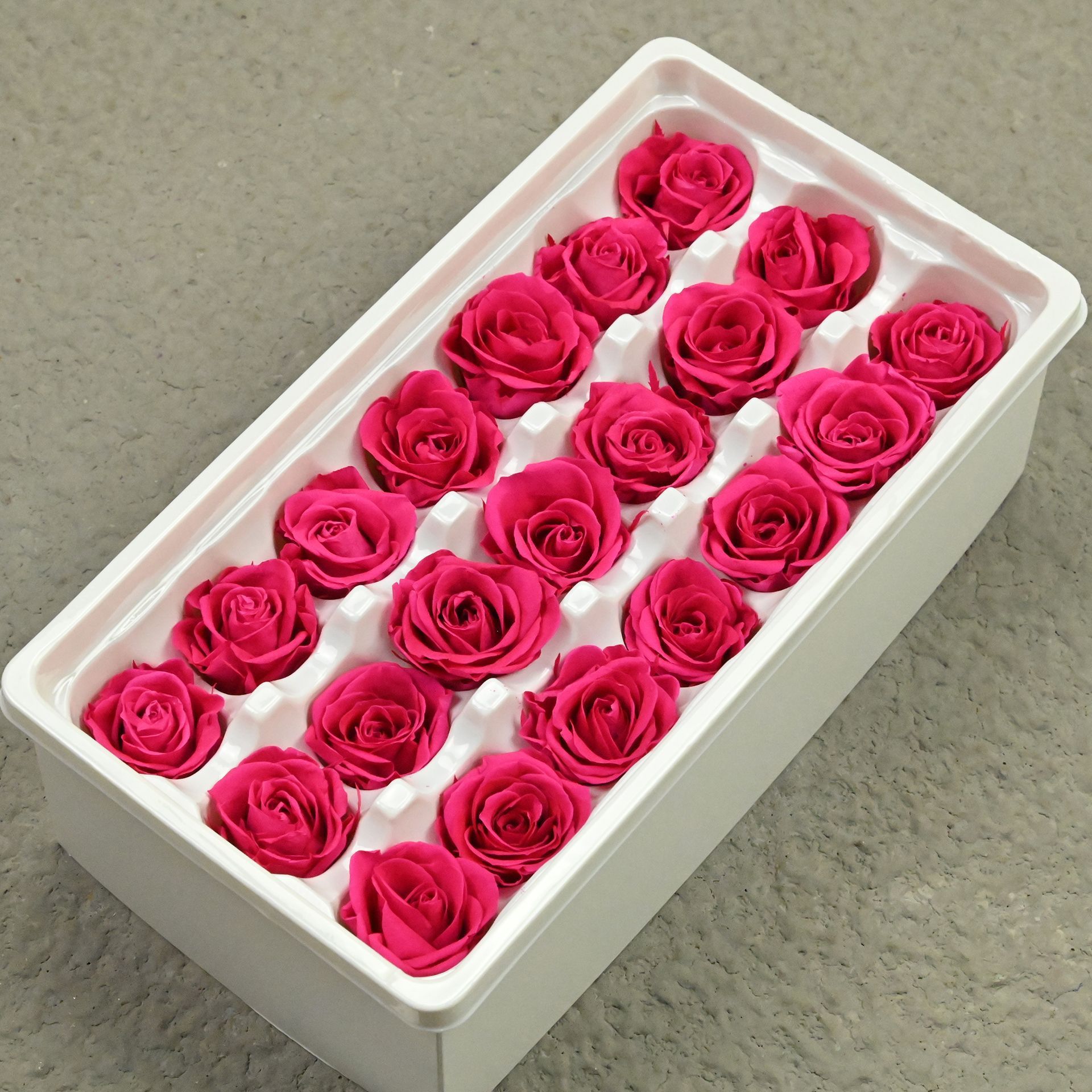 B mei 2-3 rose red 121