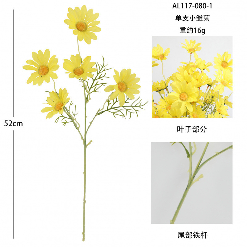 5 marguerites, jaunes