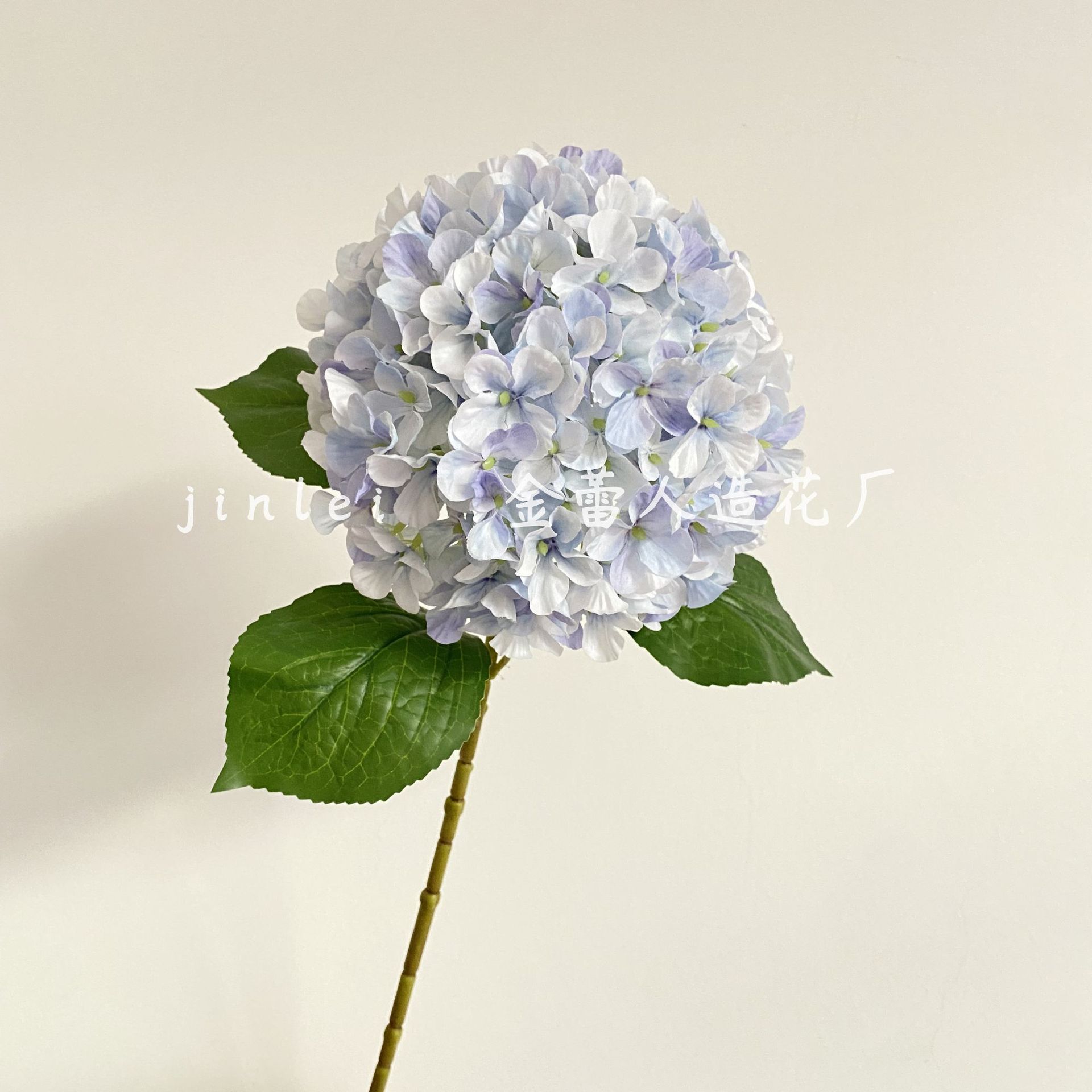 Porcelana azul y blanca