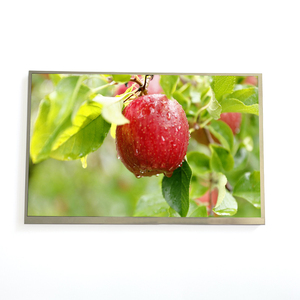 Werkseitig 10,1 Zoll 1280x800 IPS-Touchscreen-Panel 10,1-Zoll-TFT-LCD-Display LVDS 40-polig USB I2C-kapazitive LCD-Module Produkt - Product Image 1