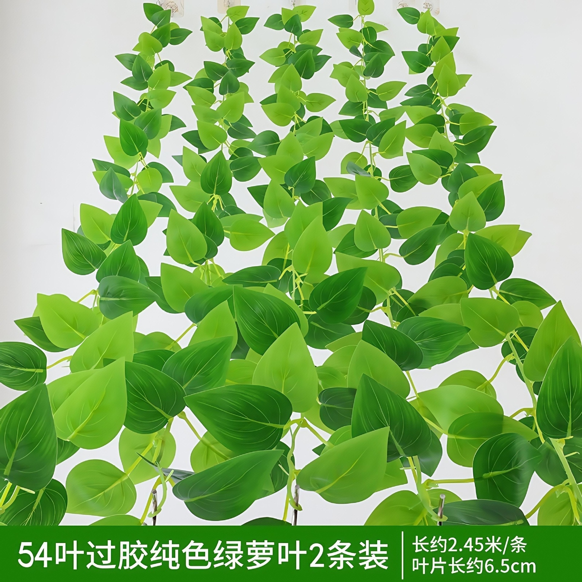 54 morceaux de vignes de pothos collées, paquet de 2