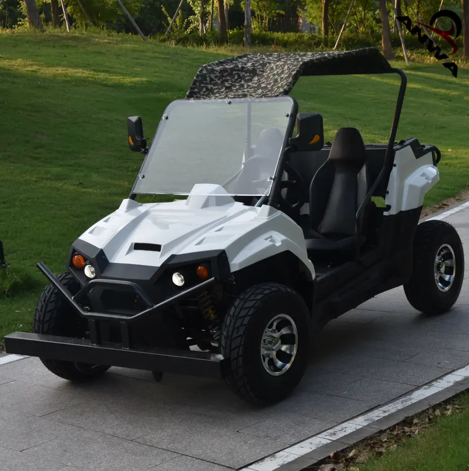 2022 factory price adult electric UTV dune buggy 2000W 3000W