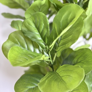 High Quality 180cm <strong>Fiddle</strong> Tree Artificial <strong>Fiddle</strong> Tree Faux Green Plant With Pot Artificial Tree for Decoration - Product Image 2