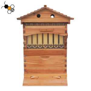 Hive for Bees Golden Palace Automatic Flows Hive 2 Beehive Super Box Without 7pcs Flows Frame - Product Image 6