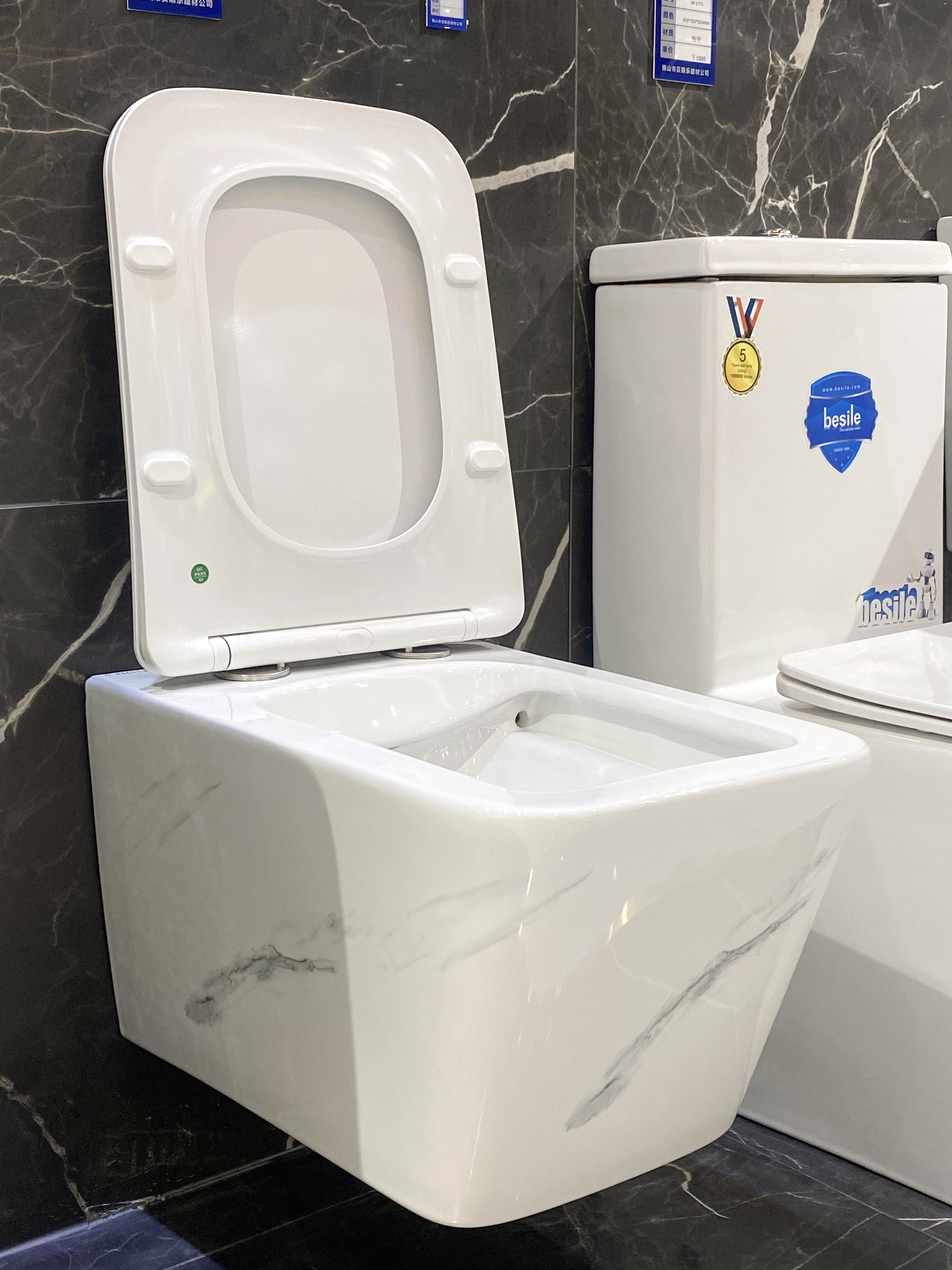 Toilette suspendue au mur (D-P3651-Marble)