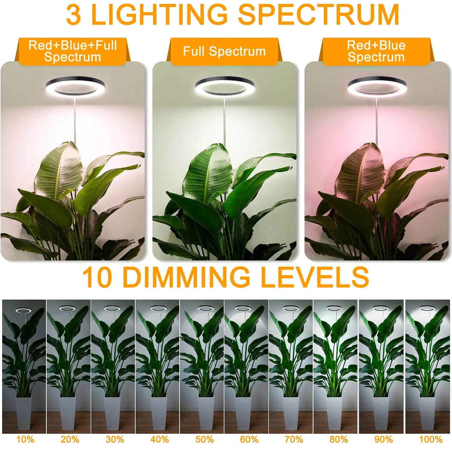 Anel angular de 10" para cultivo de plantas grandes, espectro completo, com altura ajustável, 3 modos de luz, 10 níveis de escurecimento