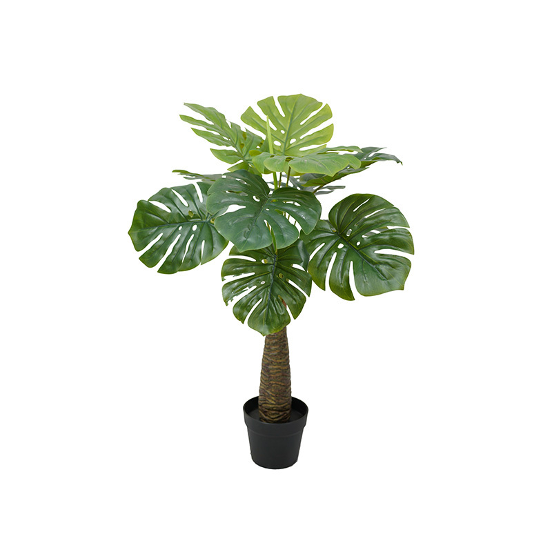 Verde-TZL2503025
