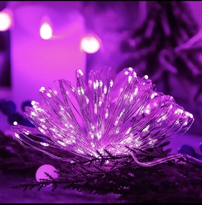 USB Powered kapalı LED dize işıklar bakır tel noel Garland peri işıklar ev yeni yıl cadılar bayramı süslemeleri için IP65 - Product Image 2