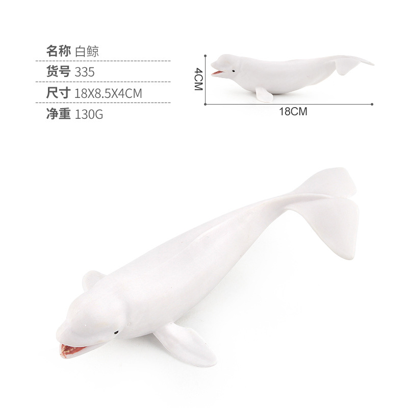 White Whale