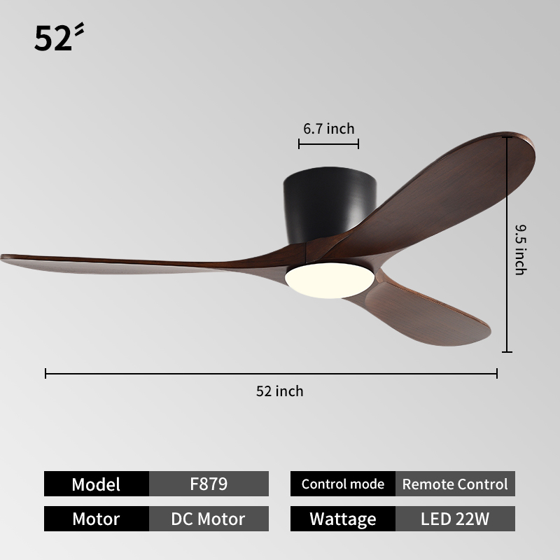 Black52IN