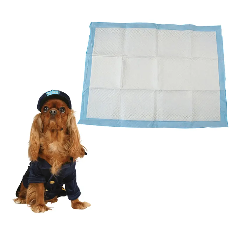 Tapis de pot absorbants et imperméables pour animaux domestiques, culotte urinoir pour chiens, chiots, d'entraînement