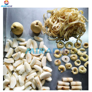 Büyük kapasiteli 1000 kg/saat elma ve Mango soyucu çekirdek ekmek kullanımı için sebze çıkarma makinesi - Product Image 5