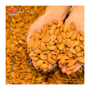 500Kg/H Automatic Hazelnut <strong>Shelling</strong> <strong>and</strong> <strong>Sorting</strong> <strong>Machine</strong> Cracking Palm <strong>Kernel</strong> Cracker <strong>and</strong> Separating <strong>Machine</strong> - Product Image 4