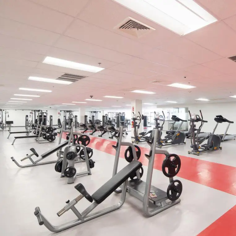 BFT fábrica profissional comercial Fitness Club configuração do hotel Gym equipamento máquina pacote conjunto completo