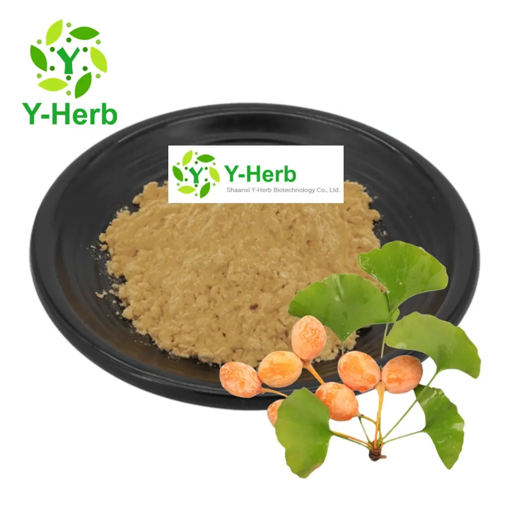 pure ginkgo biloba leaf/seed/fruit extract ginkgo biloba extract egb 761 24% 6% 5% ginkgo biloba extract powder
