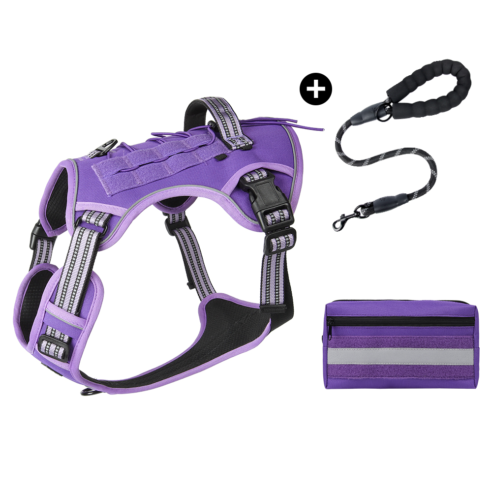 Purple3