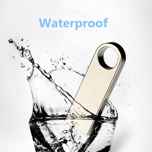 Private Label USB 2.0/3.0 16GB 32Gb 64 GB USB Flash Drive、ペンドライブ、メモリスティック - Product Image 3