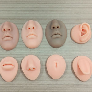 In Silicone modello orecchio bocca del naso orecchini di visualizzazione strumento di pratica per la scienza medica - Product Image 1